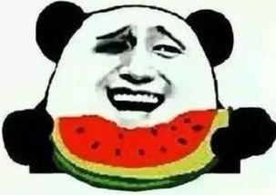 雨涵吃瓜群众,揭秘娱乐圈幕后故事