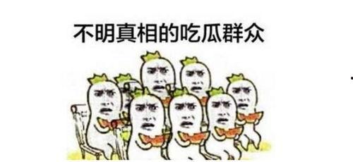 寻梦之吃瓜群众,揭秘吃瓜群众的趣味生活