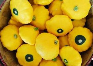 飞碟瓜可以吃不,探索飞碟瓜的神秘食趣