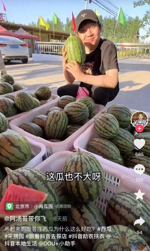 抖音吃瓜鹿泉,揭秘网红美食背后的故事