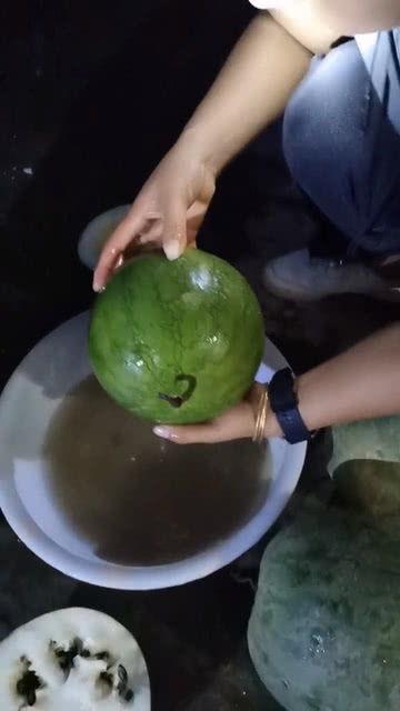 有啥瓜吃没有,揭秘那些你不知道的幕后故事