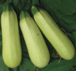 壶关最新吃瓜爆料,揭秘神秘事件背后的真相！